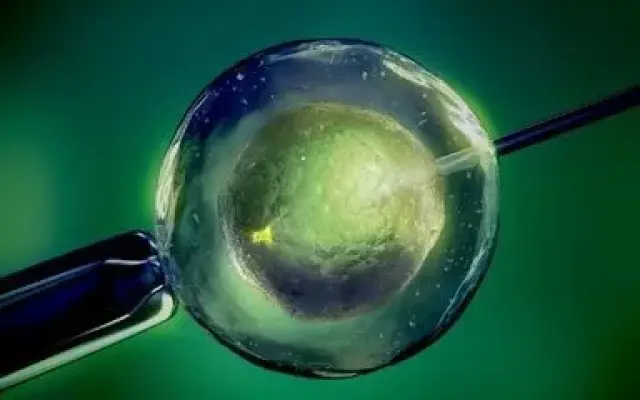 42岁PGT成功案例